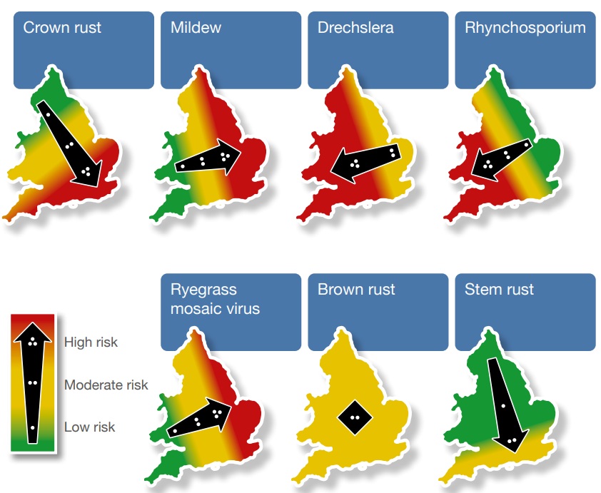Maps showing regional disease risks.